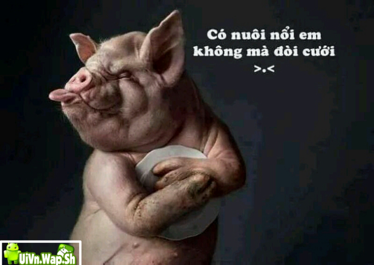 Uivn.wap.sh